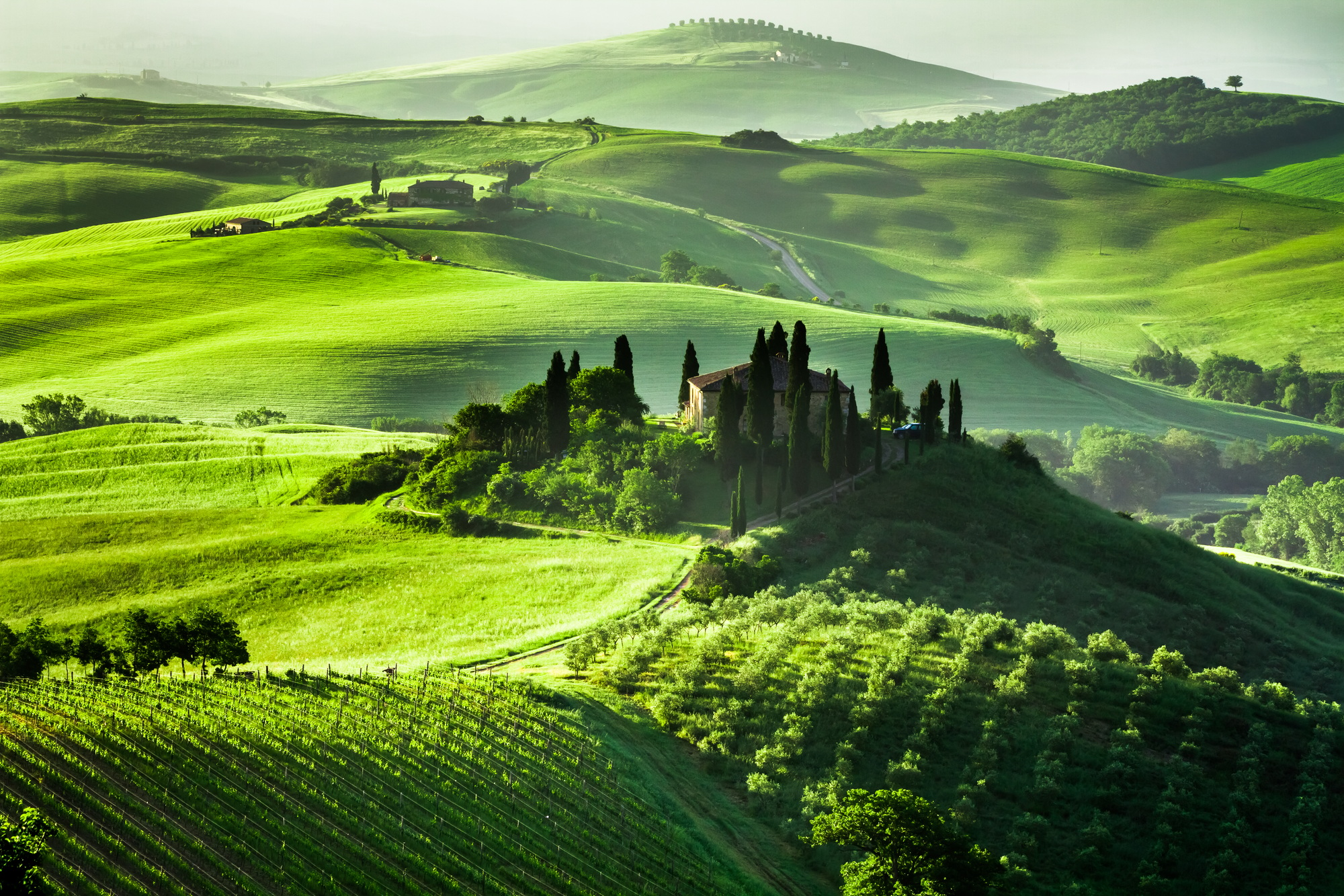 Thriving Restaurant And Superb Food With Wine Make Tuscany Most Popular Holiday Destinations In Italy