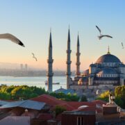 Mosque and Bosphorus in Istanbul