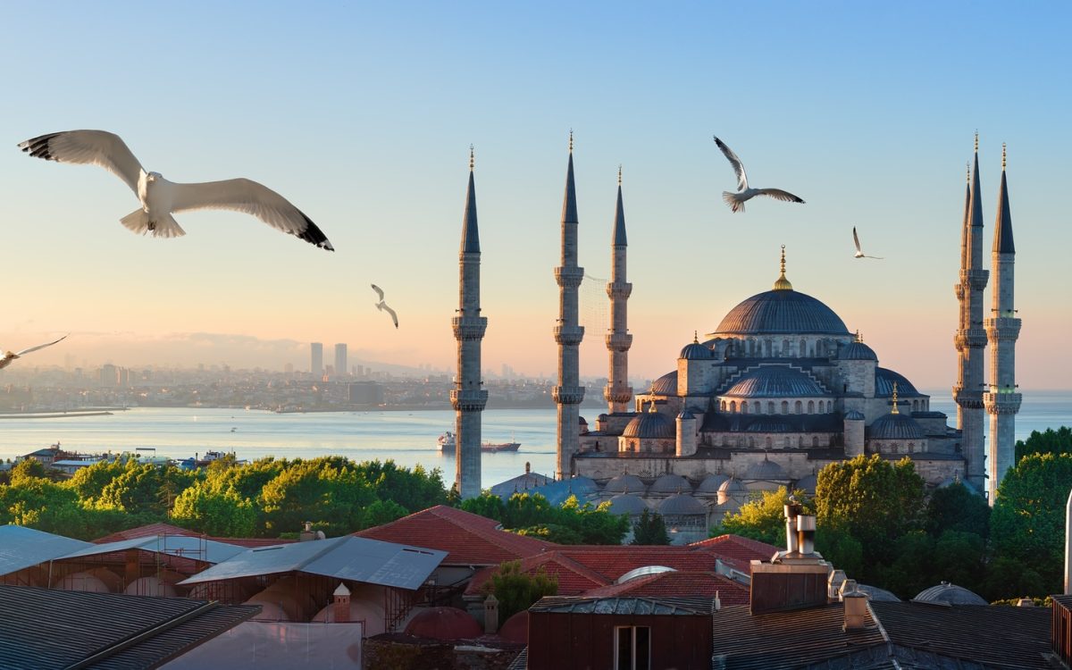 Mosque and Bosphorus in Istanbul